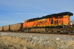 BNSF 6207 Roster shot